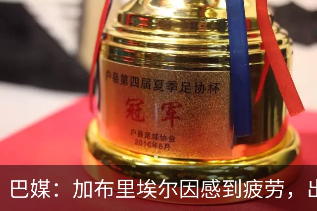 巴媒：加布里埃尔因感到疲劳，出战巴西-埃及的热身赛成疑