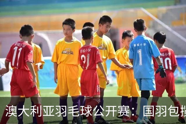 澳大利亚羽毛球公开赛：国羽包揽双打三项冠军