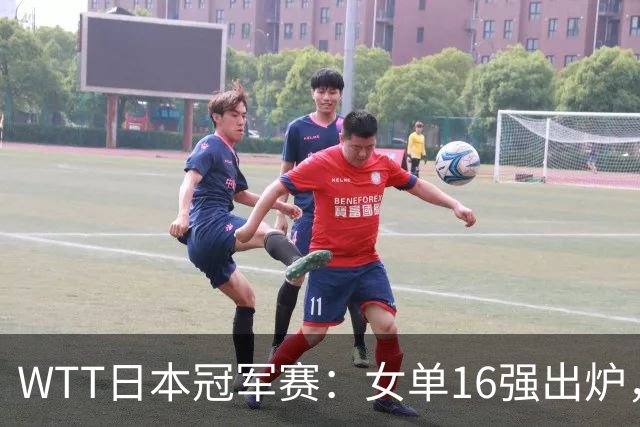 WTT日本冠军赛：女单16强出炉，国乒4人全部晋级伊藤美诚出局